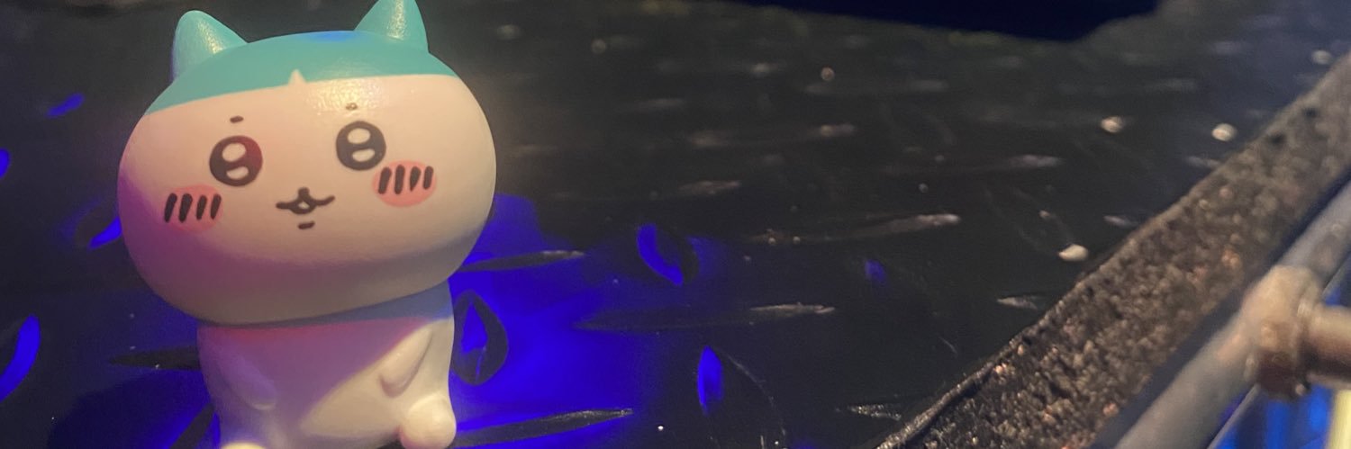 NON_freedom's profile banner image