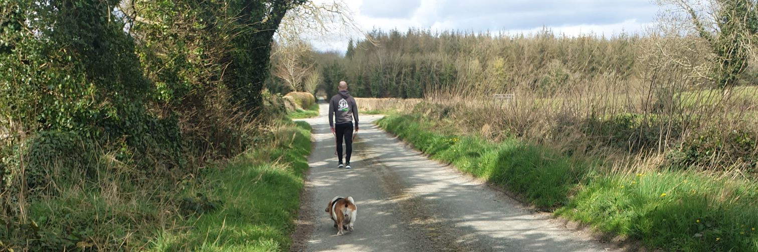 irishtris's profile banner image