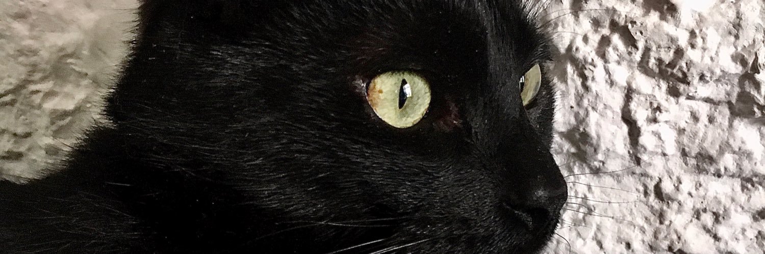 Regina Phalange banner