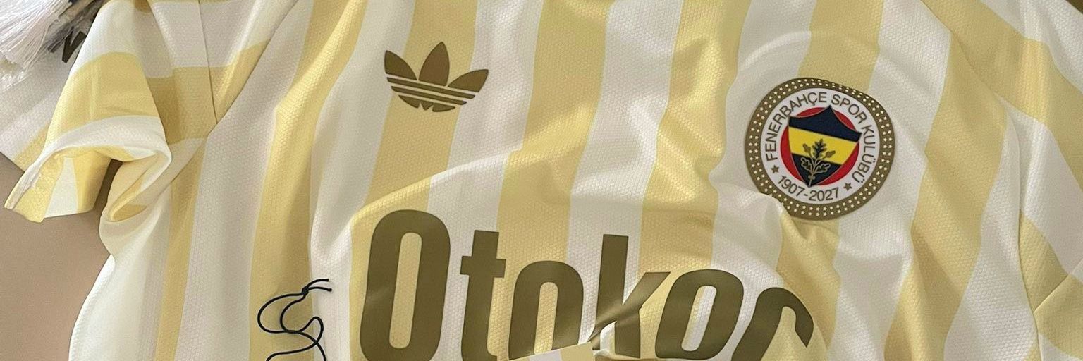 ozyovskii's profile banner image