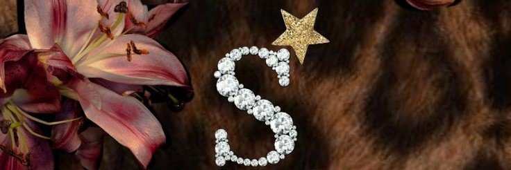 imsorryusaidwho's profile banner image