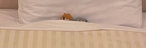 aokmoi Profile Banner