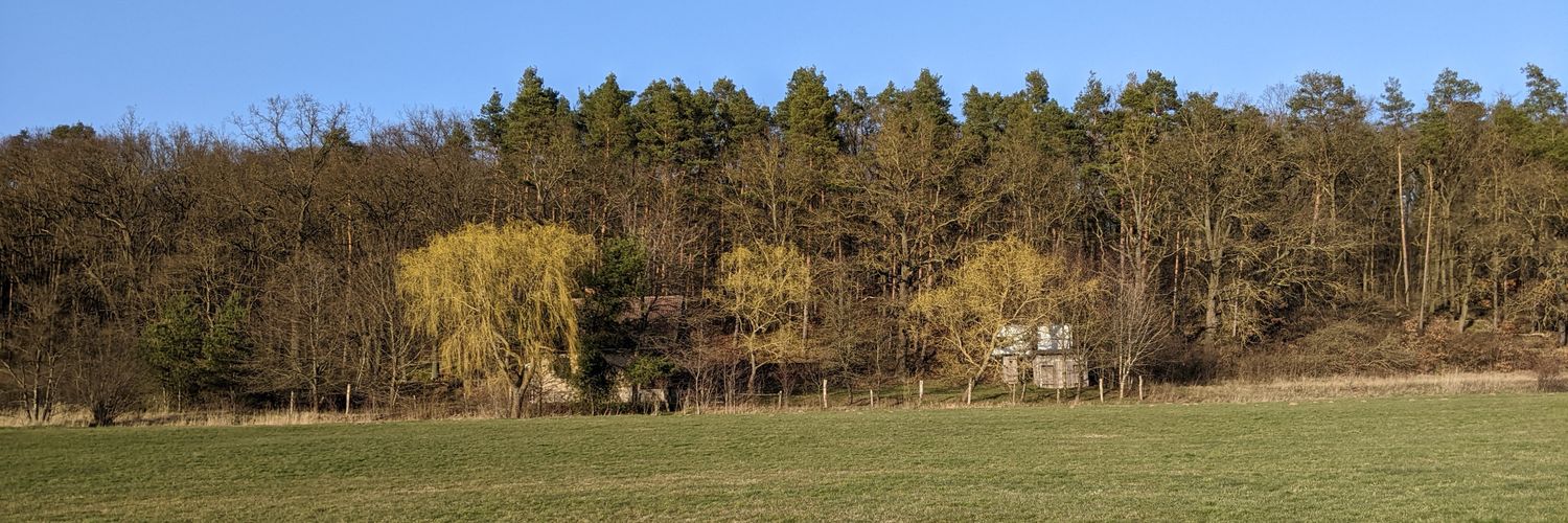 Michael Busch 📯 banner