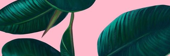 Alibbaba's profile banner image