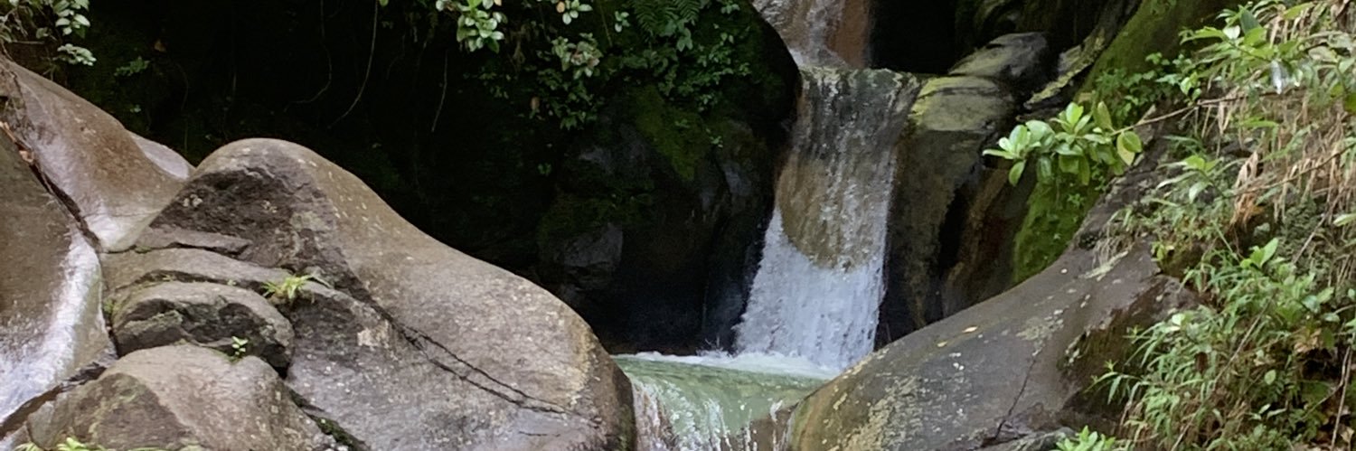 GSadjania's profile banner image