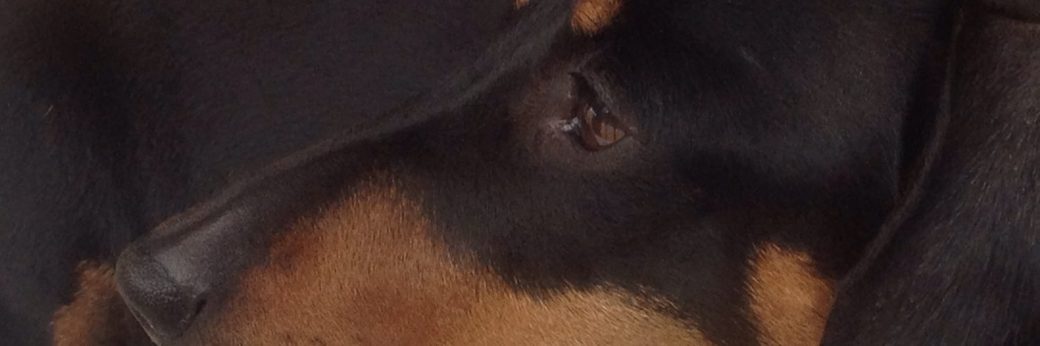 sharonTis13's profile banner image