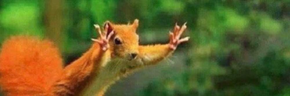 Mistress W 🏳️‍🌈 banner