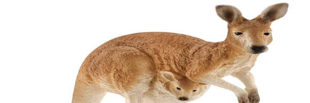 Benyxette's profile banner image