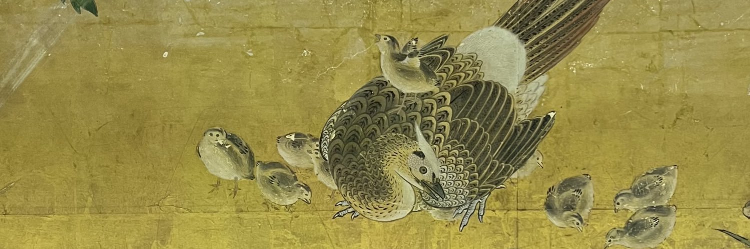 buncchio's profile banner image