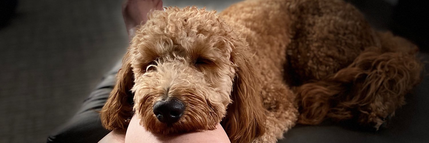 Michelle F. Cooper banner