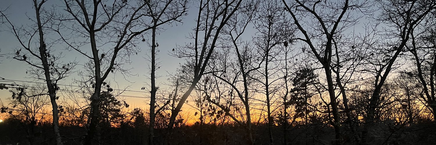 tesweet81205's profile banner image