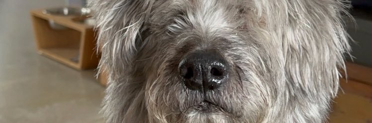 Buffy | Cryptonian's banner