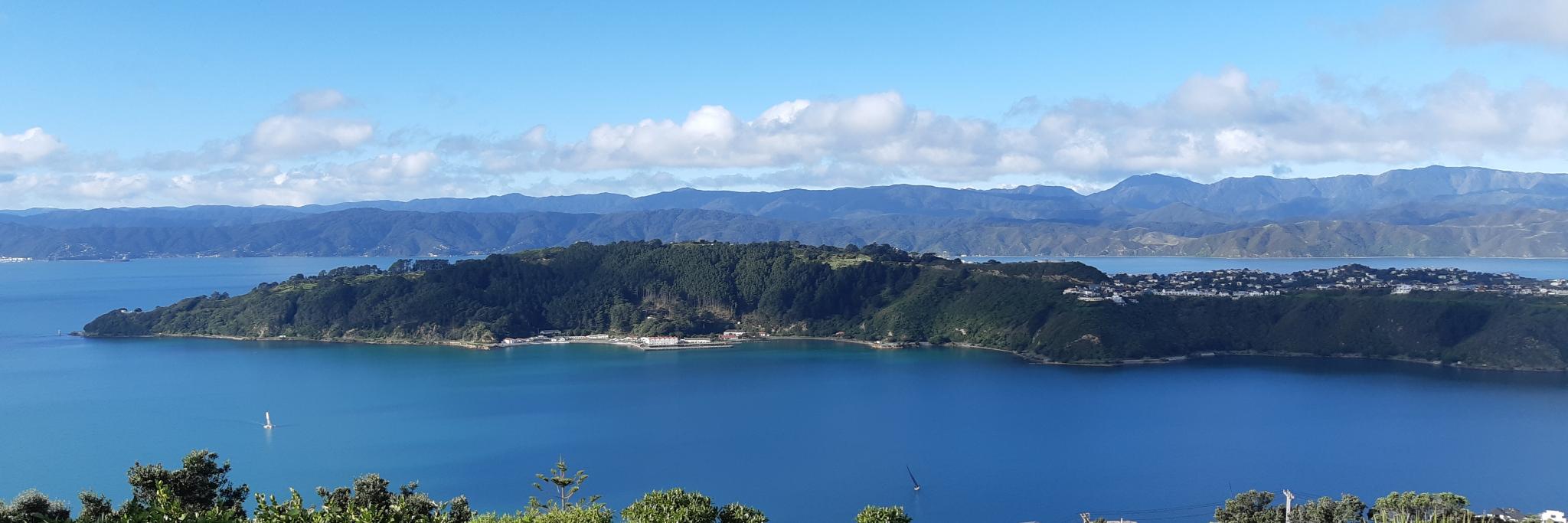 realmattbutton's profile banner image