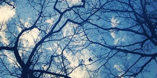 zunta21's profile banner image