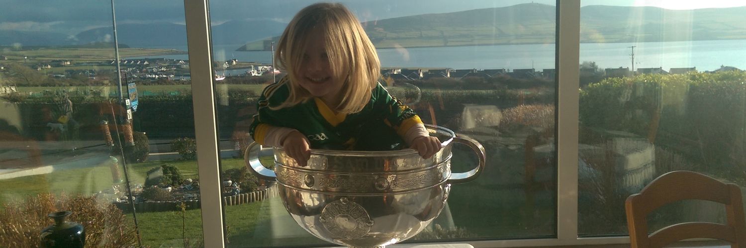 Breandán Fitzgerald banner