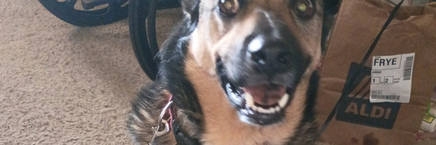 mamafryebear's profile banner image