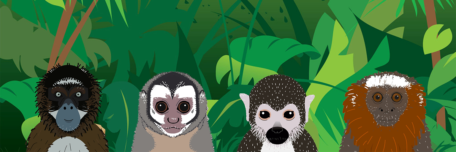 Asociación Primatológica Colombiana banner