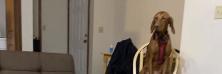 moomoopoopo0's profile banner image