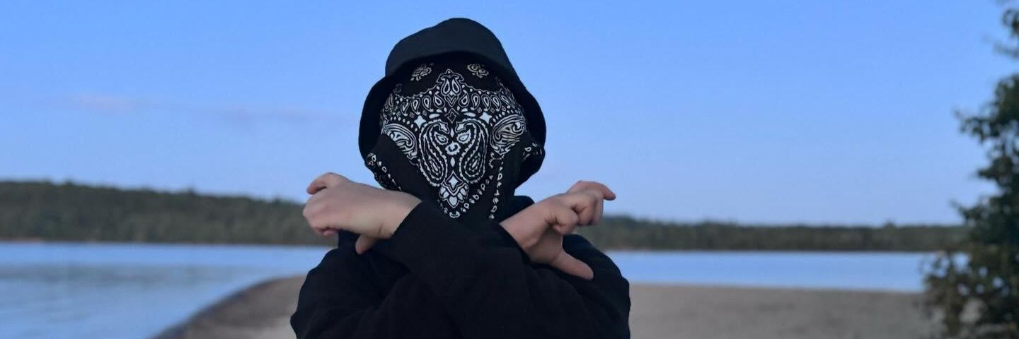 polanviski's profile banner image