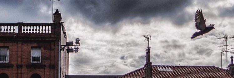 SebVdK31's profile banner image