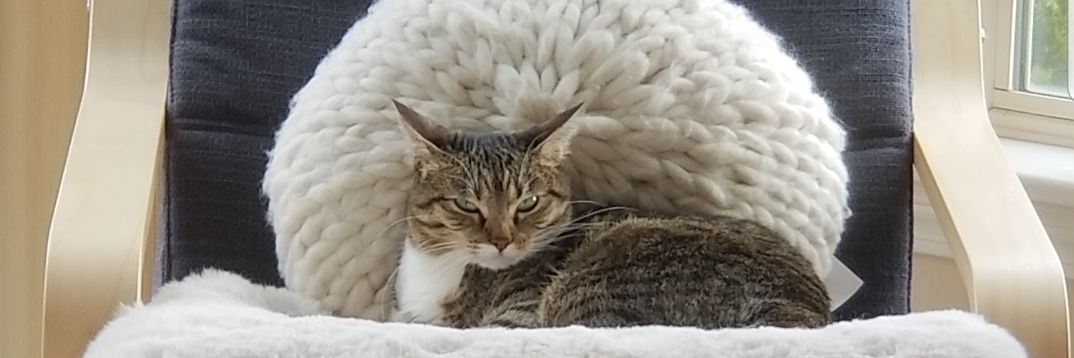 🇺🇦Elron Blubber'd banner