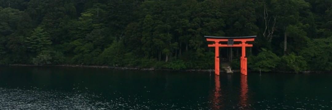 Sawene banner