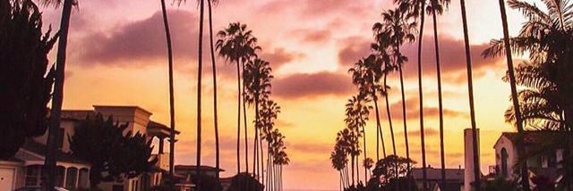 allyally___'s profile banner image
