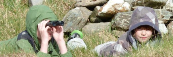 MaryBAClancy1 Profile Banner