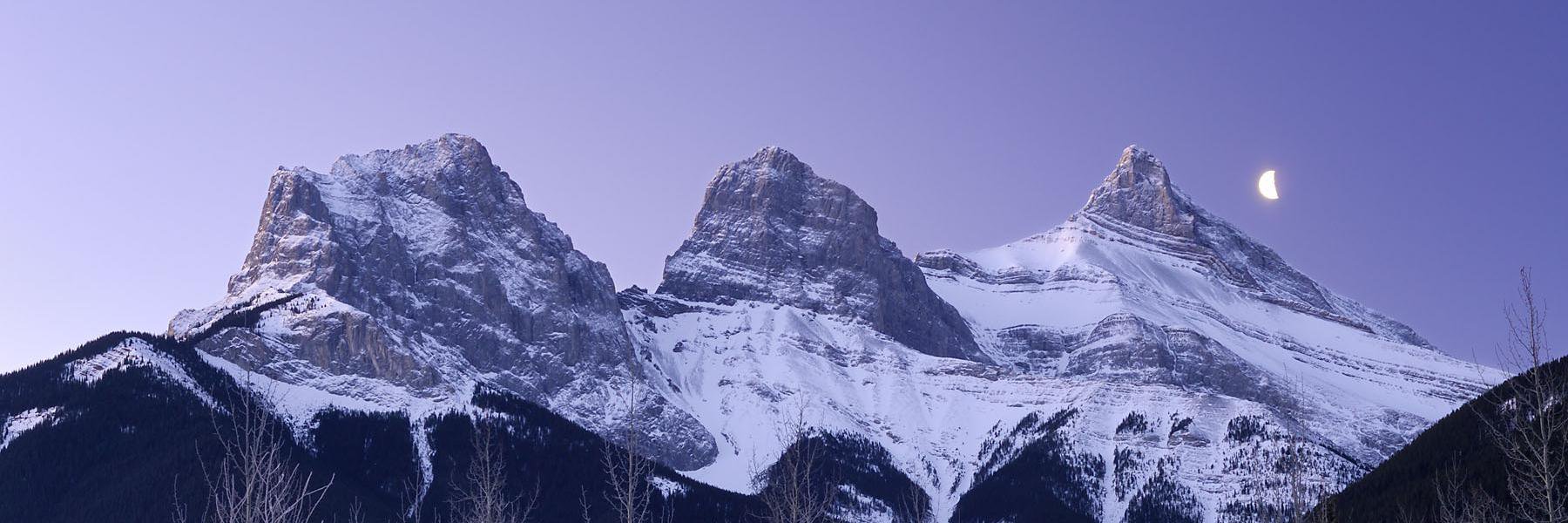 Alberta Brewer banner