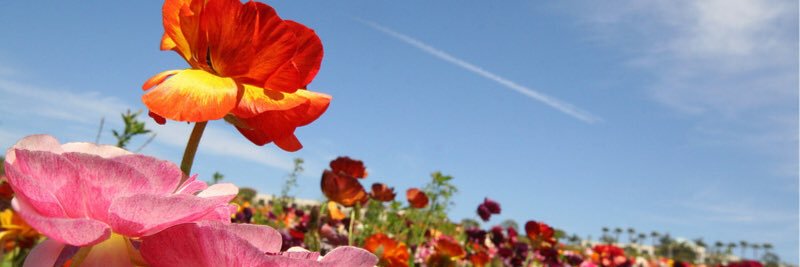 opinionous's profile banner image