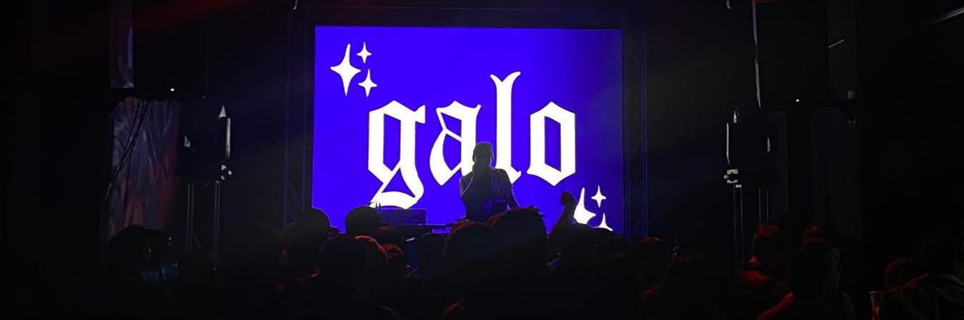 229Galo's profile banner image