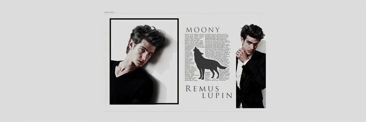 .♱ juju banner