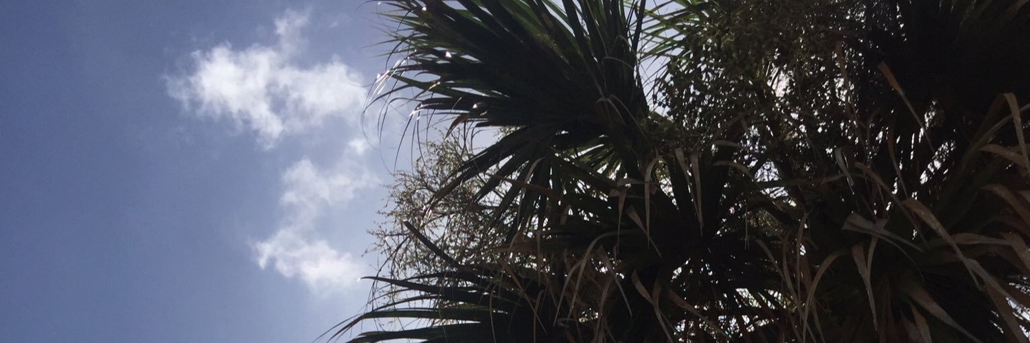 cRs9518's profile banner image