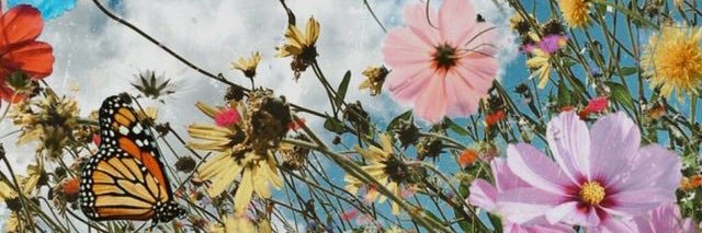 maisonneuvehh's profile banner image