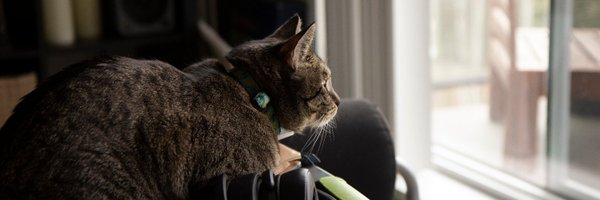 TheFlopFish Profile Banner