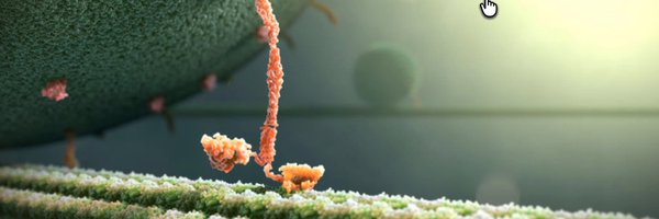 RealDoctorT Profile Banner