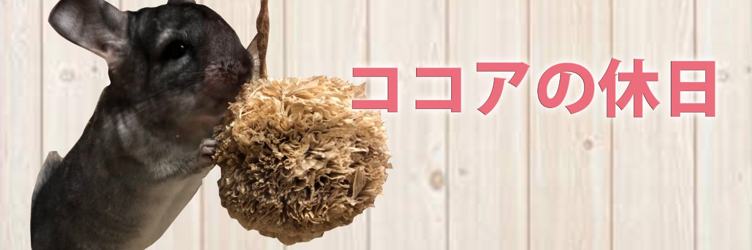 ココアの休日【チンチラ】's banner