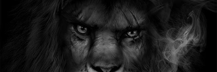 AstonHussein's profile banner image