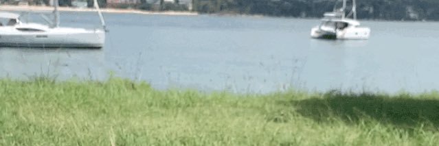PABrown64's profile banner image