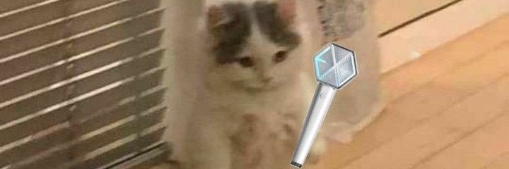 BYUNBAO|| MT AFTER DM banner
