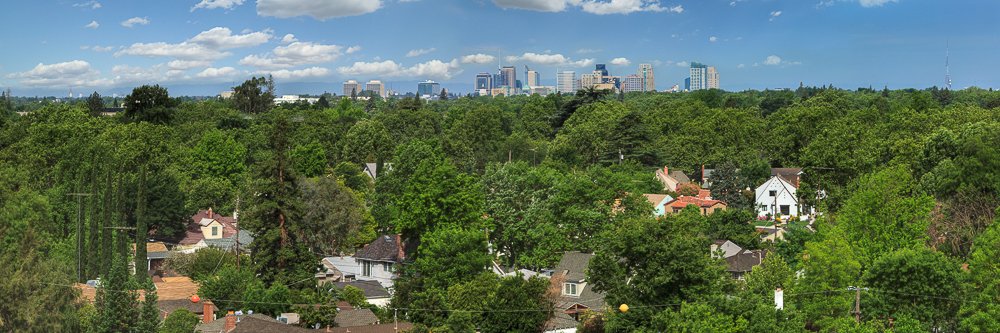 Sacramento Tree Foundation banner