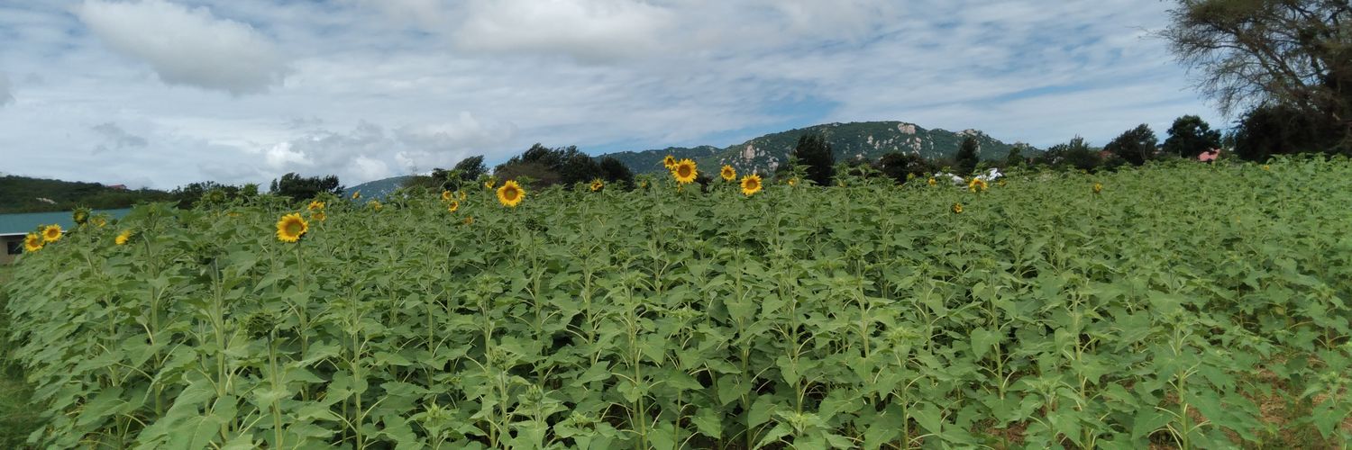 ObethMdeka's profile banner image