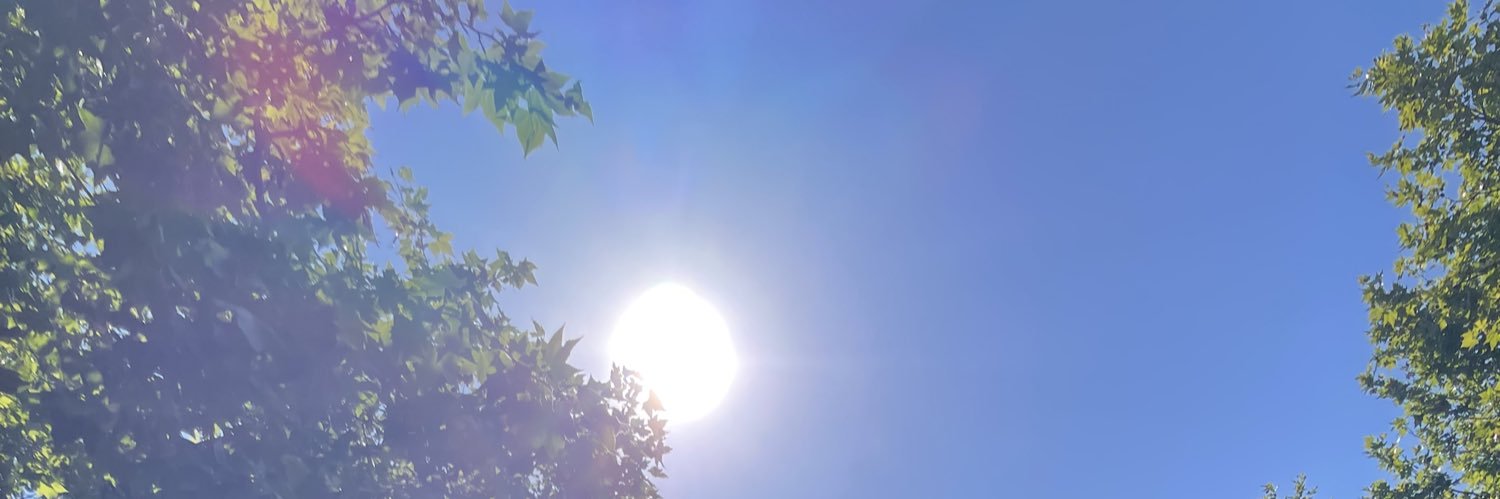 Marie 💫 banner