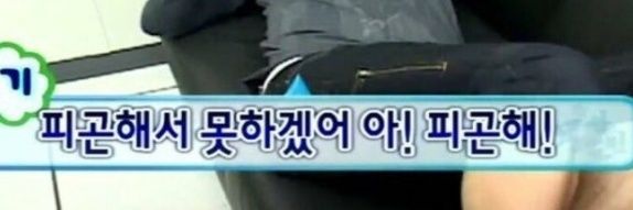 빵댕이왕자 banner