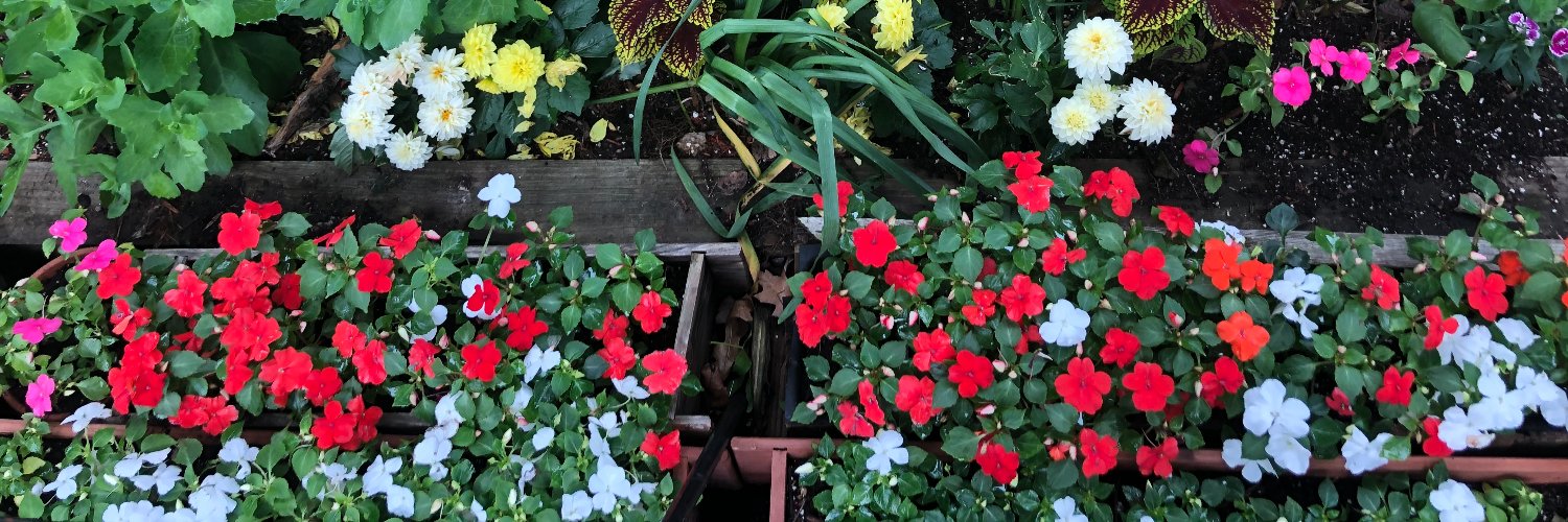 Stephen Gandel banner