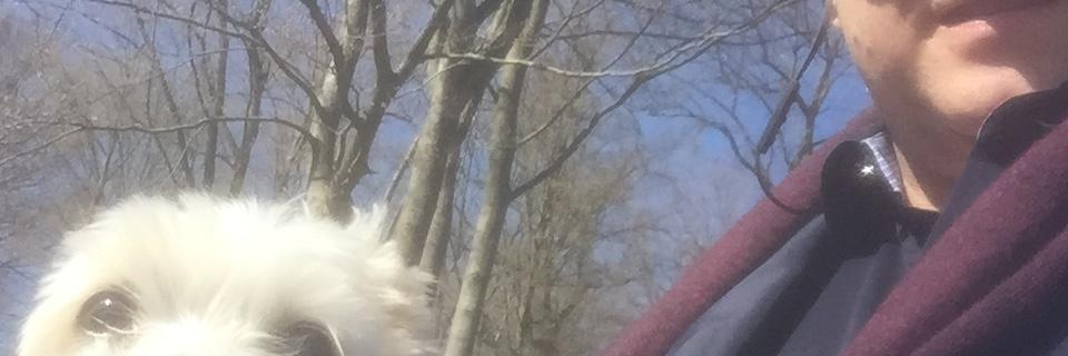 lars_morarp's profile banner image
