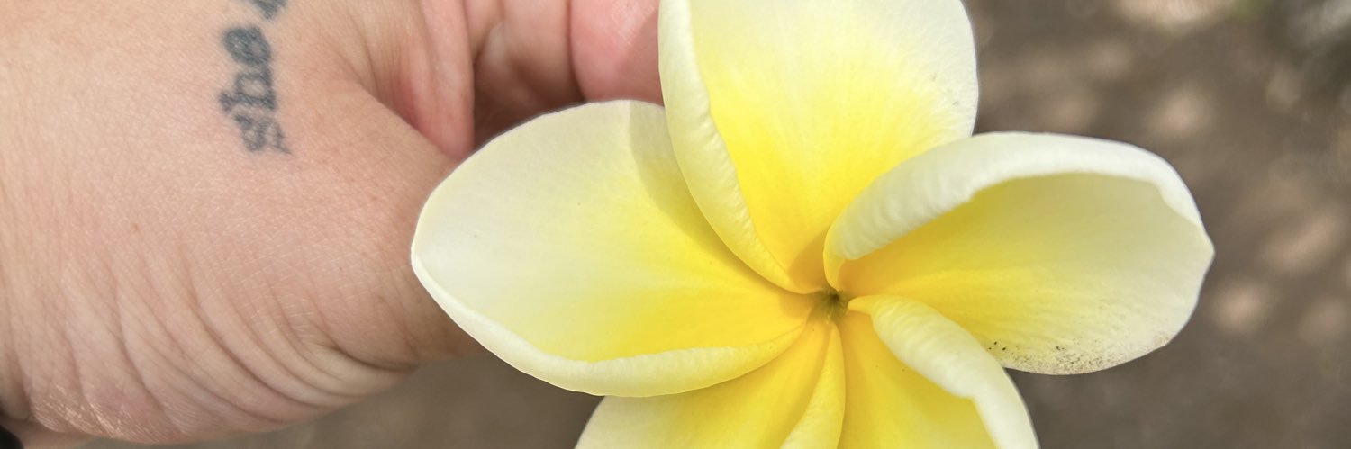 soofis911's profile banner image