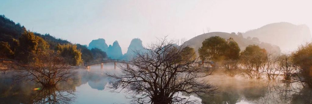 すこたろ🇵🇸🇺🇦 banner