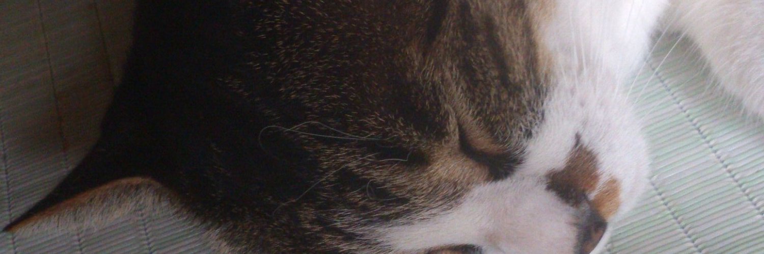 yzpeach's profile banner image