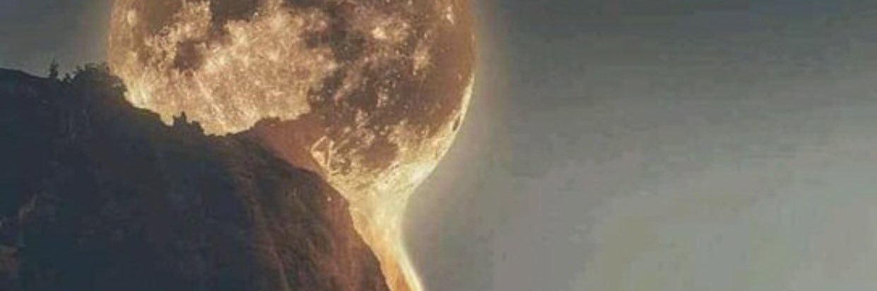 srowtnb460's profile banner image
